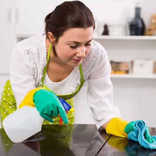Fenix Cleaning Services